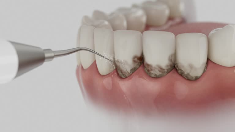Reliable Dental contractor in Lenoir County County, NC by Dentist Open Now